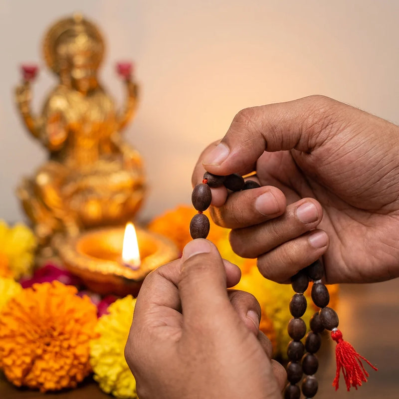Kamal Gatta Japa Mala | Natural 108 + 1 Beads Lotus Seed Mala | Swaha