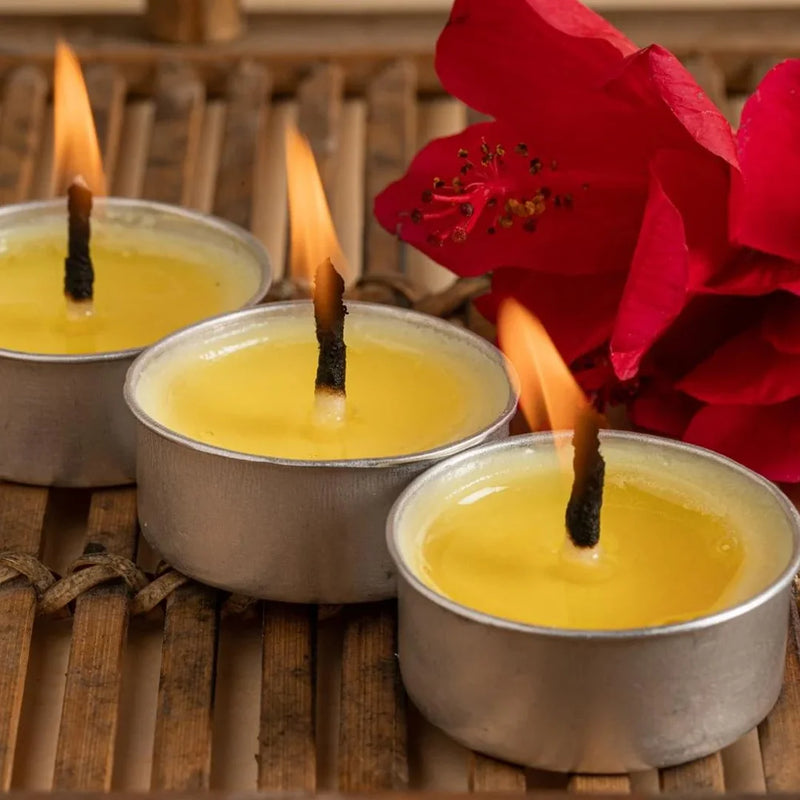 Cow Ghee Diya Wicks |1.5hrs Burning Time | Swaha