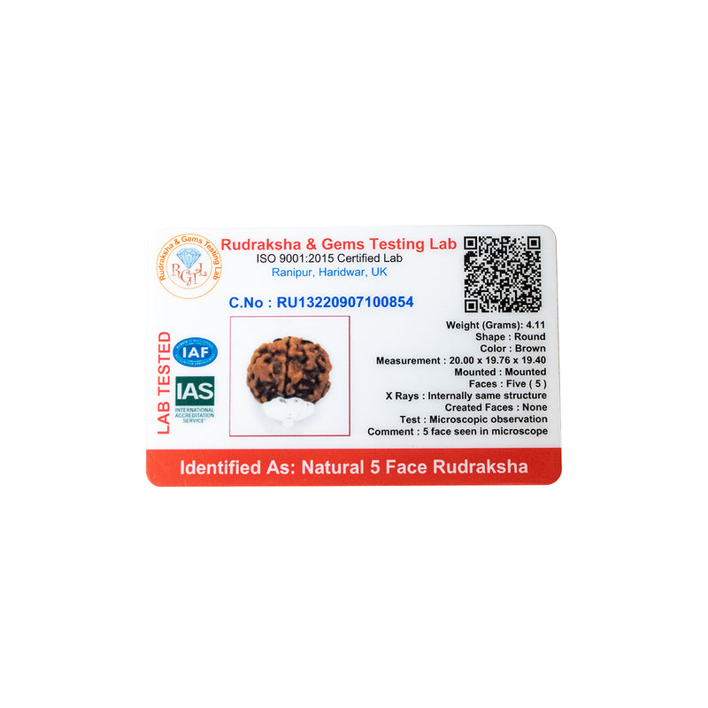 Panch Mukhi Rudraksha Pendant