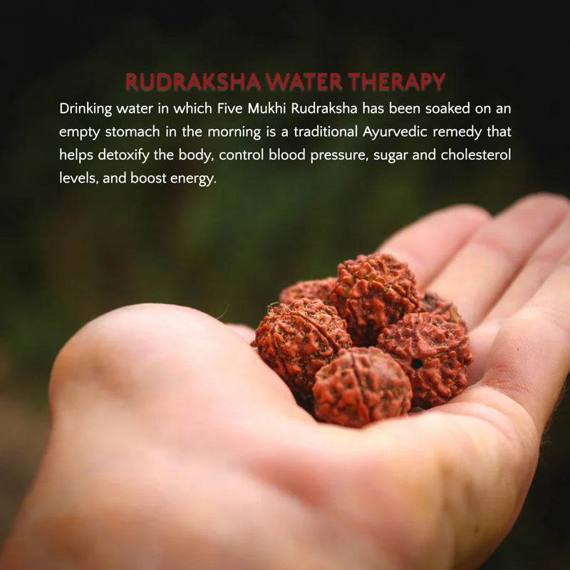 Panch Mukhi Rudraksha Water Therapy | 6 Natural Lab Certified Rudhraksha Beads | Swaha