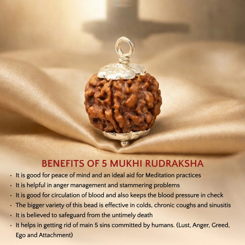 Panch Mukhi Rudraksha Pendant