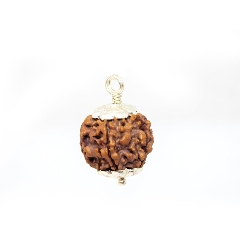 Panch Mukhi Rudraksha Pendant