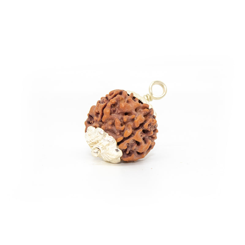 Panch Mukhi Rudraksha Pendant