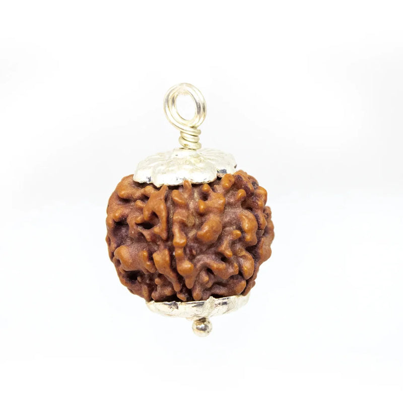 Panch Mukhi Rudraksha Pendant