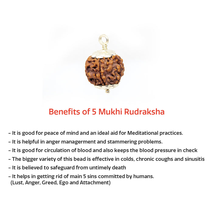Swaha 5 Mukhi Rudraksha Pendant | Naturlal Lab Certified Rudraksha Bead