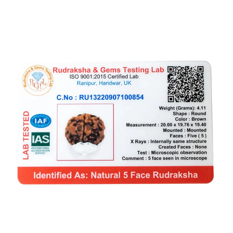 Panch Mukhi Rudraksha Pendant