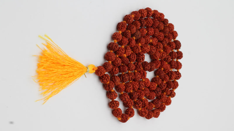 Dark Brown Mukhi Rudraksha Mala with Certificate Swaha