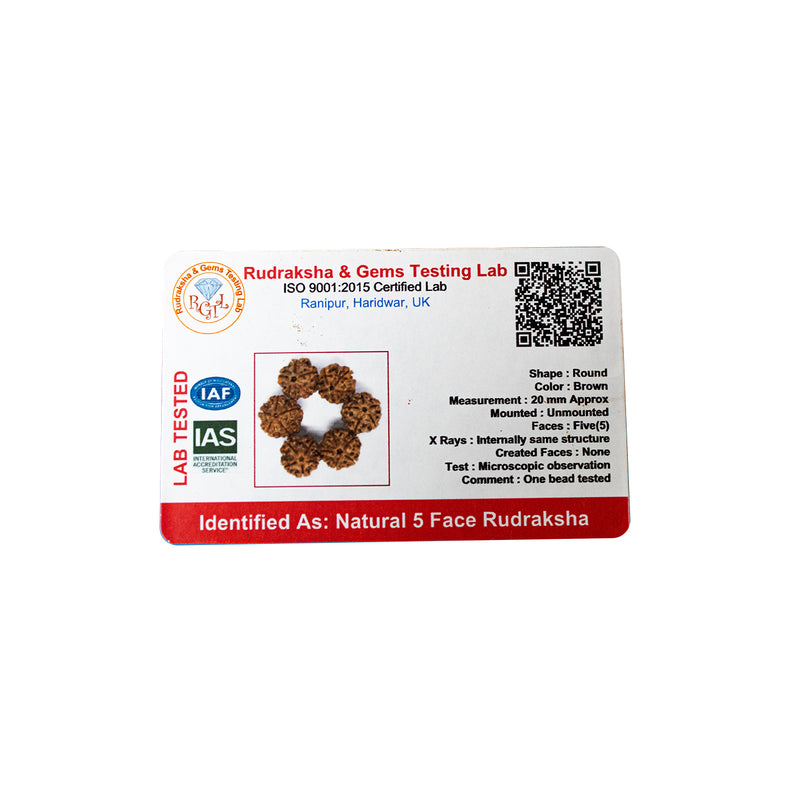 Panch Mukhi Rudraksha Water Therapy | 6 Natural Lab Certified Rudhraksha Beads | Swaha