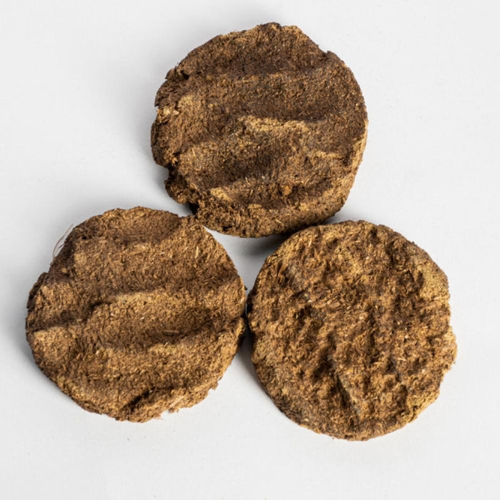 Cow Dung Cakes Are Being Sold In The USA For ₹214